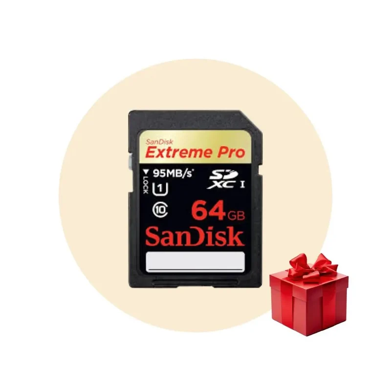 Carte Mémoire microSD 64 Go