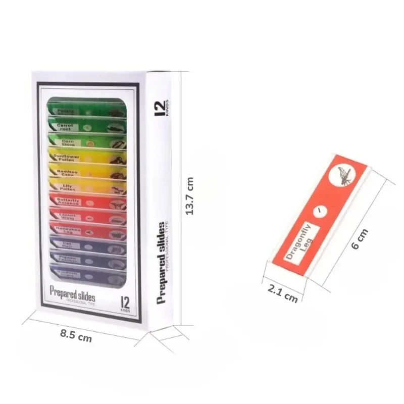 Lames de Microscope Préparées – Coffret Multicolore 12 pcs