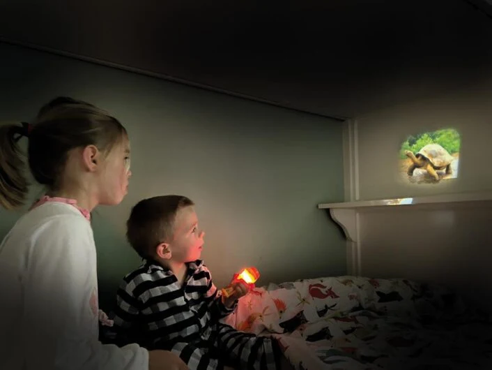 Scratch - lampe de poche projecteur - animaux sauvages - 🧒3 ans+