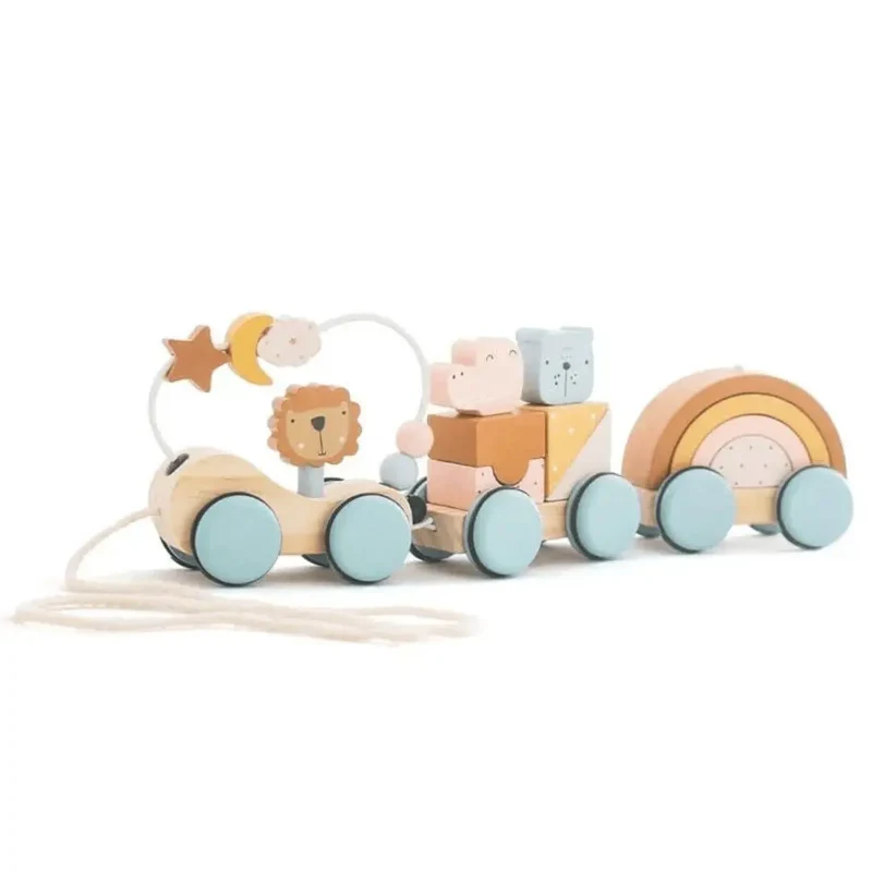 Train en Bois Montessori Animaux et Arc-en-Ciel – ColorTrain™