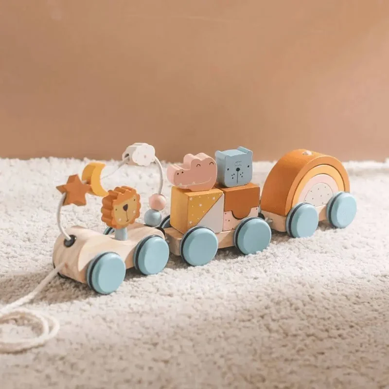 Train en Bois Montessori Animaux et Arc-en-Ciel – ColorTrain™