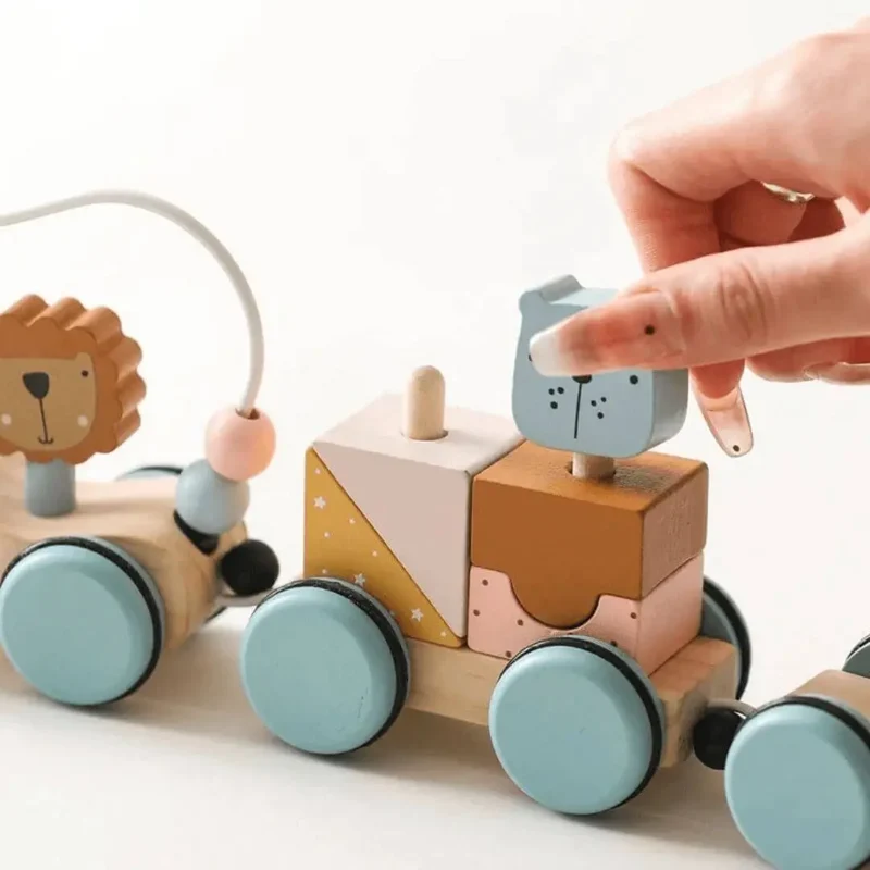 Train en Bois Montessori Animaux et Arc-en-Ciel – ColorTrain™
