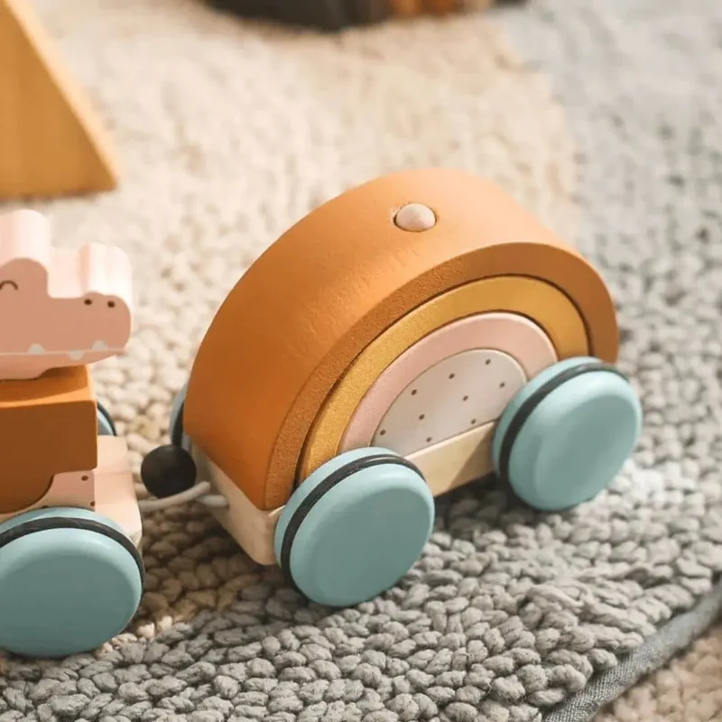 Train en Bois Montessori Animaux et Arc-en-Ciel – ColorTrain™