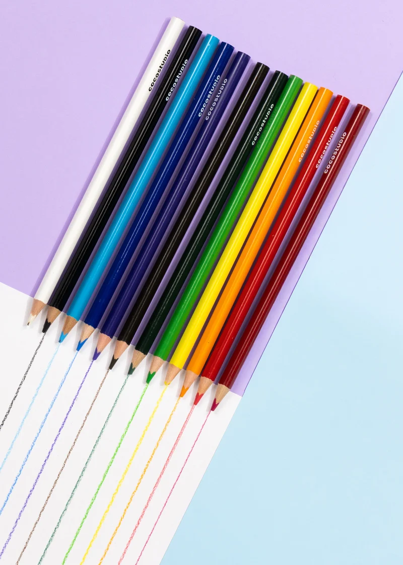 Set of 12 Artist Colored Pencils