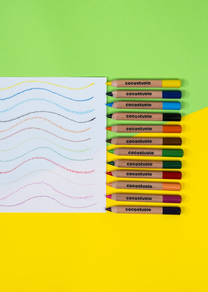 Set of 12 Jumbo Artist Colored Pencils