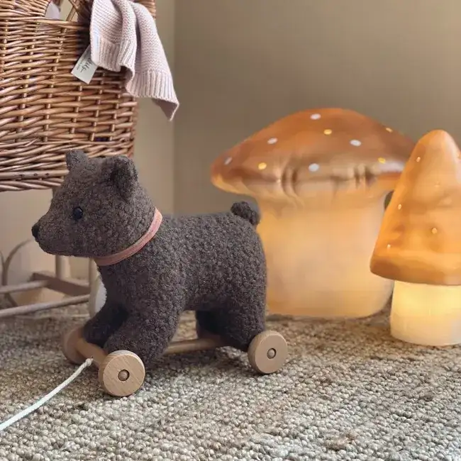Egmont Toys - lampe moyen champignon Terra - veilleuse - 👶Naissance+