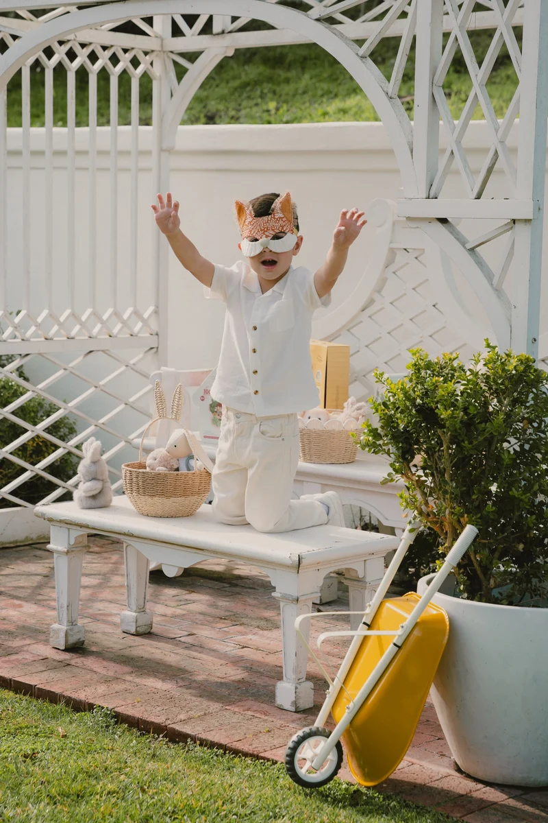 Fantastic Fox Mask