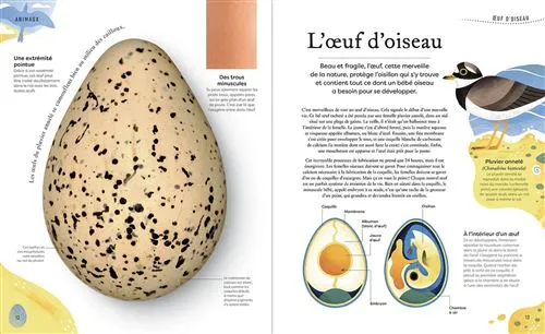 Auzou - L'anthologie insolite des trésors de la nature - livre