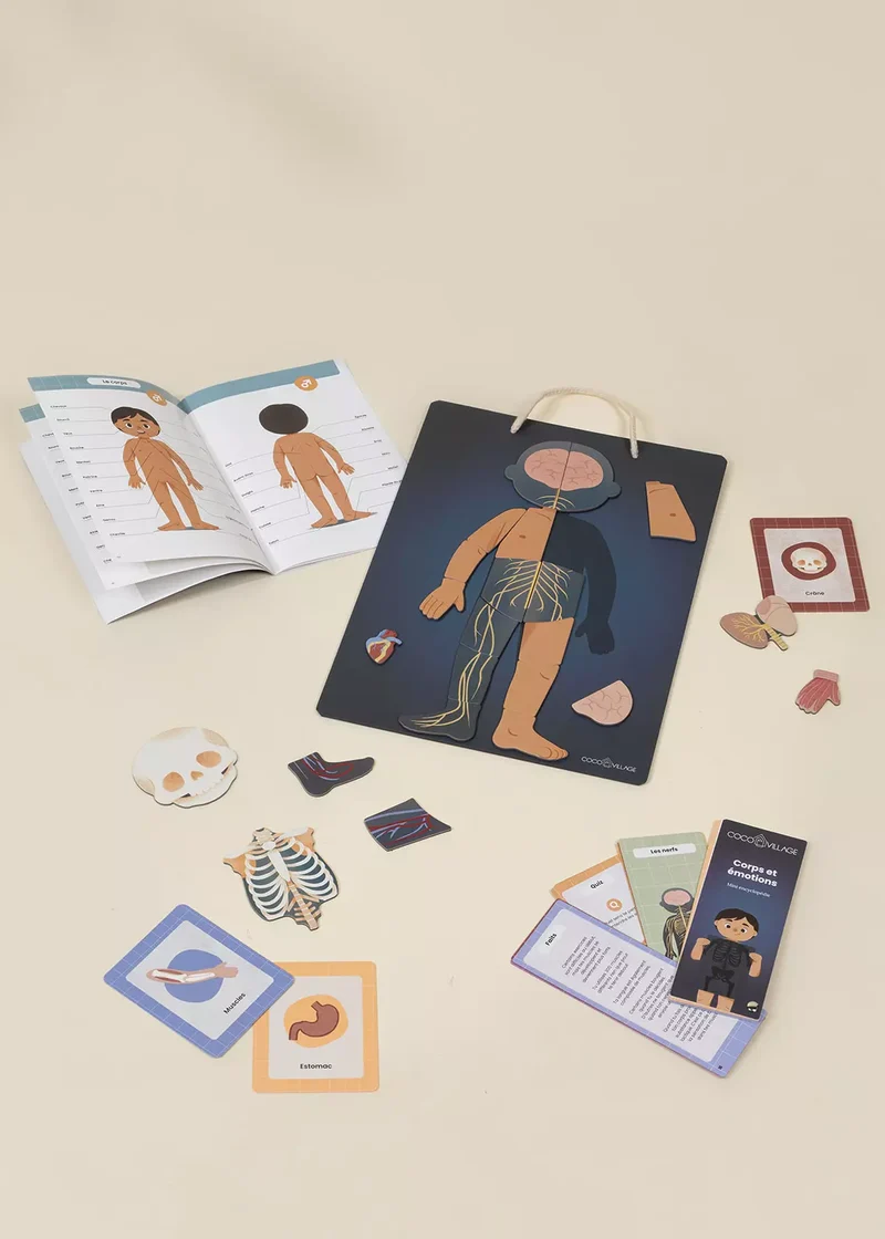 Interactive & Magnetic Encyclopedia – Body & Emotions (English Version)