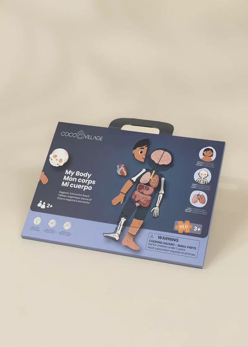 Magnetic Interactive Board – My Body