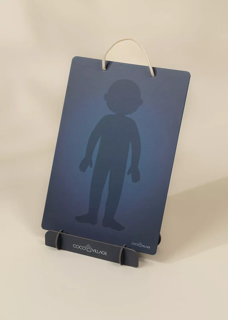 Magnetic Interactive Board – My Body