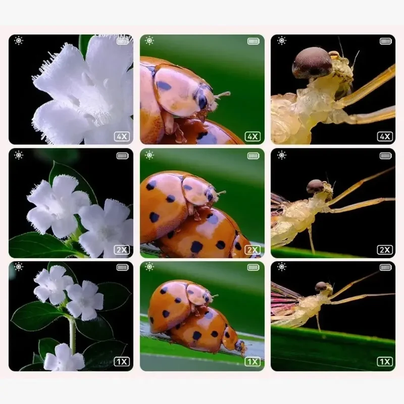 Microscope Électronique Enfant 1000X Rose – Dès 6 Ans