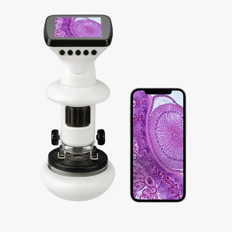 Microscope Électronique Enfant avec Écran HD & WiFi – Dès 6 Ans