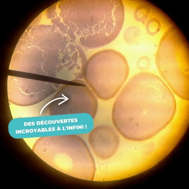 Microscope Optique Enfant Éducatif 12 Lames Préparées – Dès 6 Ans