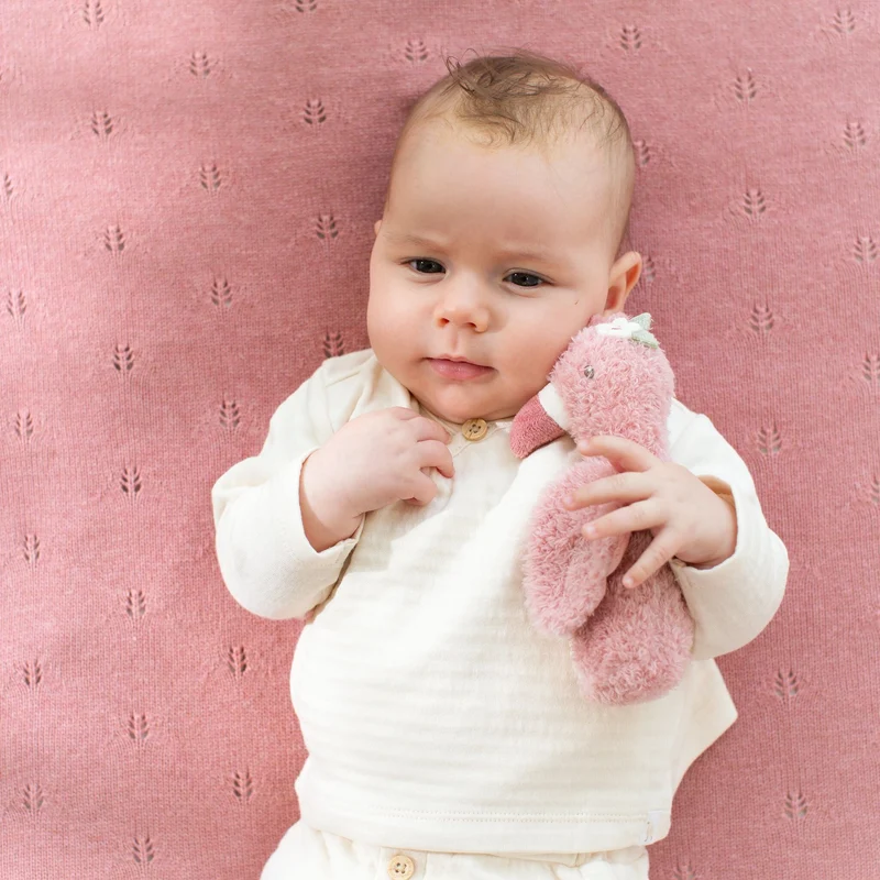Knijprammelaar Flamingo - Roze