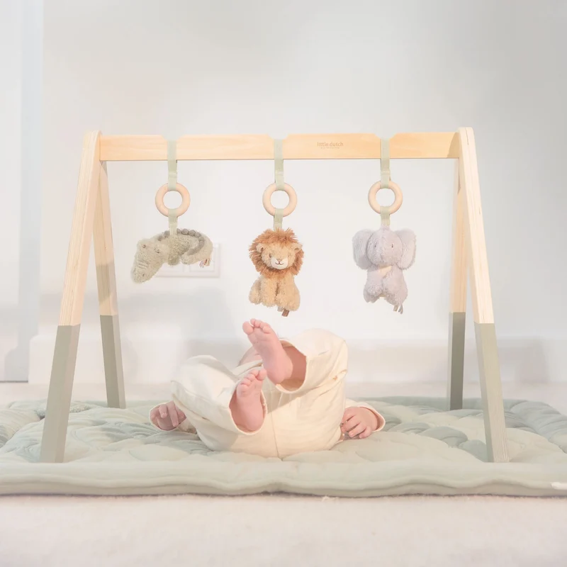 Babygym