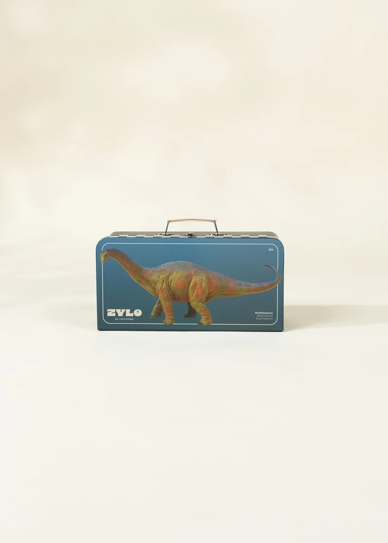 Brachiosaurus Dinosaur in a Collectible Box