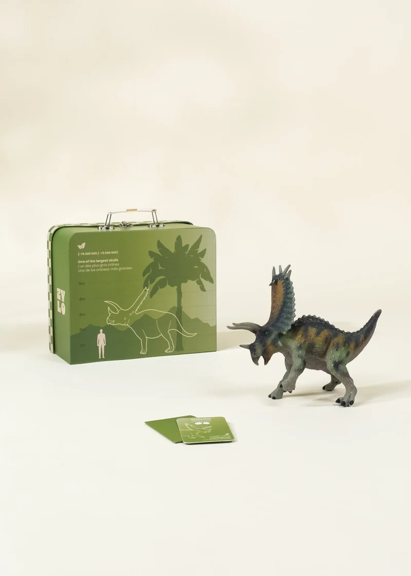 Pentaceratops Dinosaur in a Collectible Box