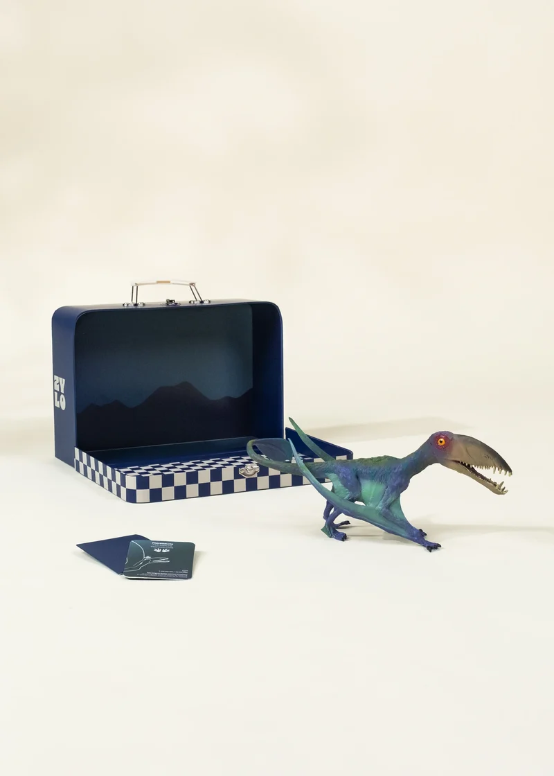 Pterosauria Dinosaur in a Collectible Box