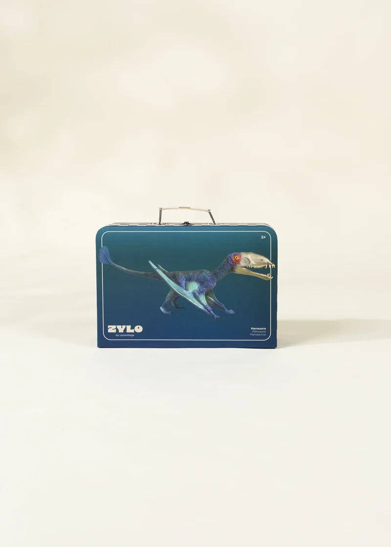 Pterosauria Dinosaur in a Collectible Box