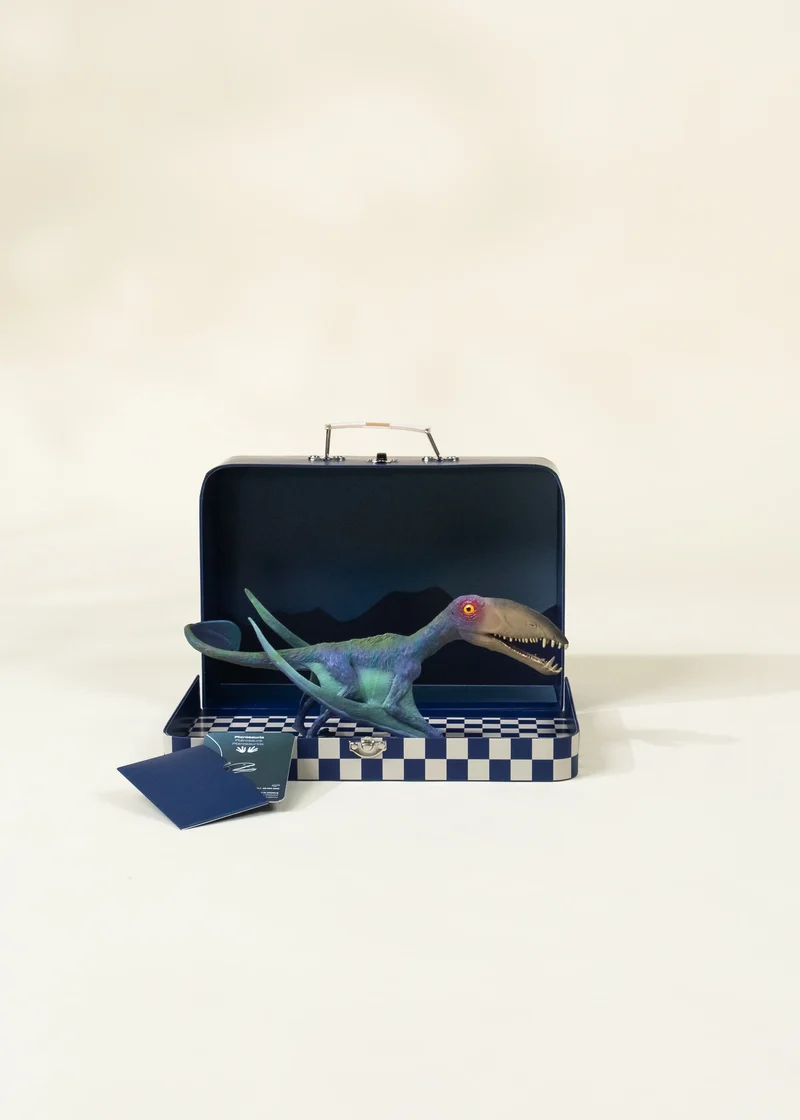 Pterosauria Dinosaur in a Collectible Box