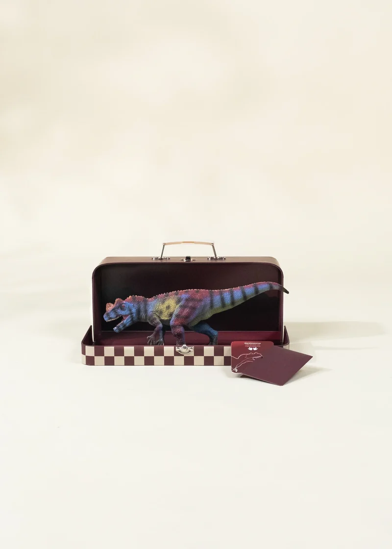 Ceratosaurus Dinosaur in a Collectible Box