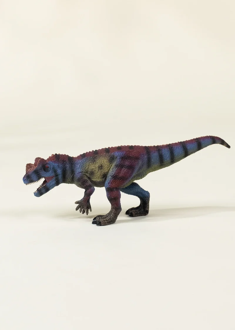 Ceratosaurus Dinosaur in a Collectible Box