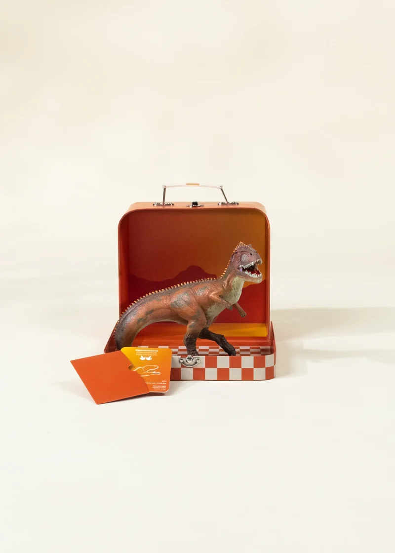Giganotosaurus Dinosaur in a Collectible Box