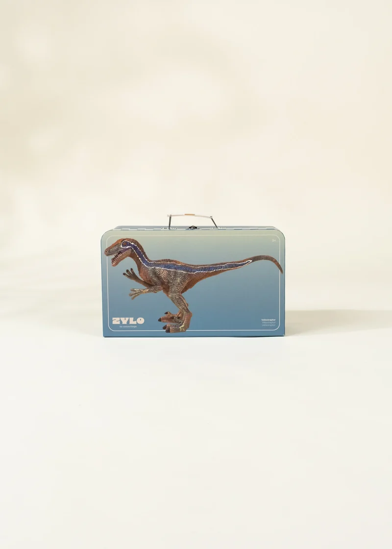 Velociraptor Dinosaur in a Collectible Box