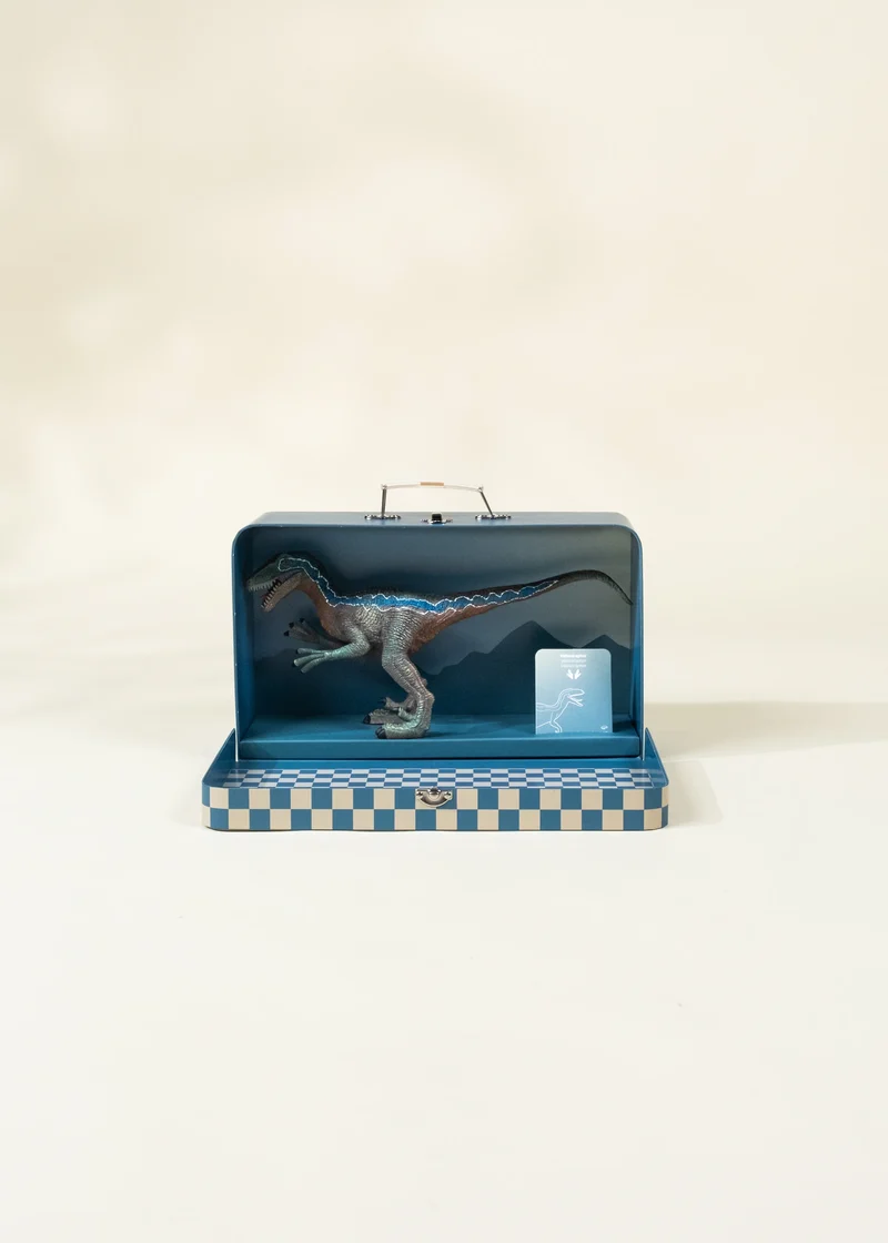 Velociraptor Dinosaur in a Collectible Box