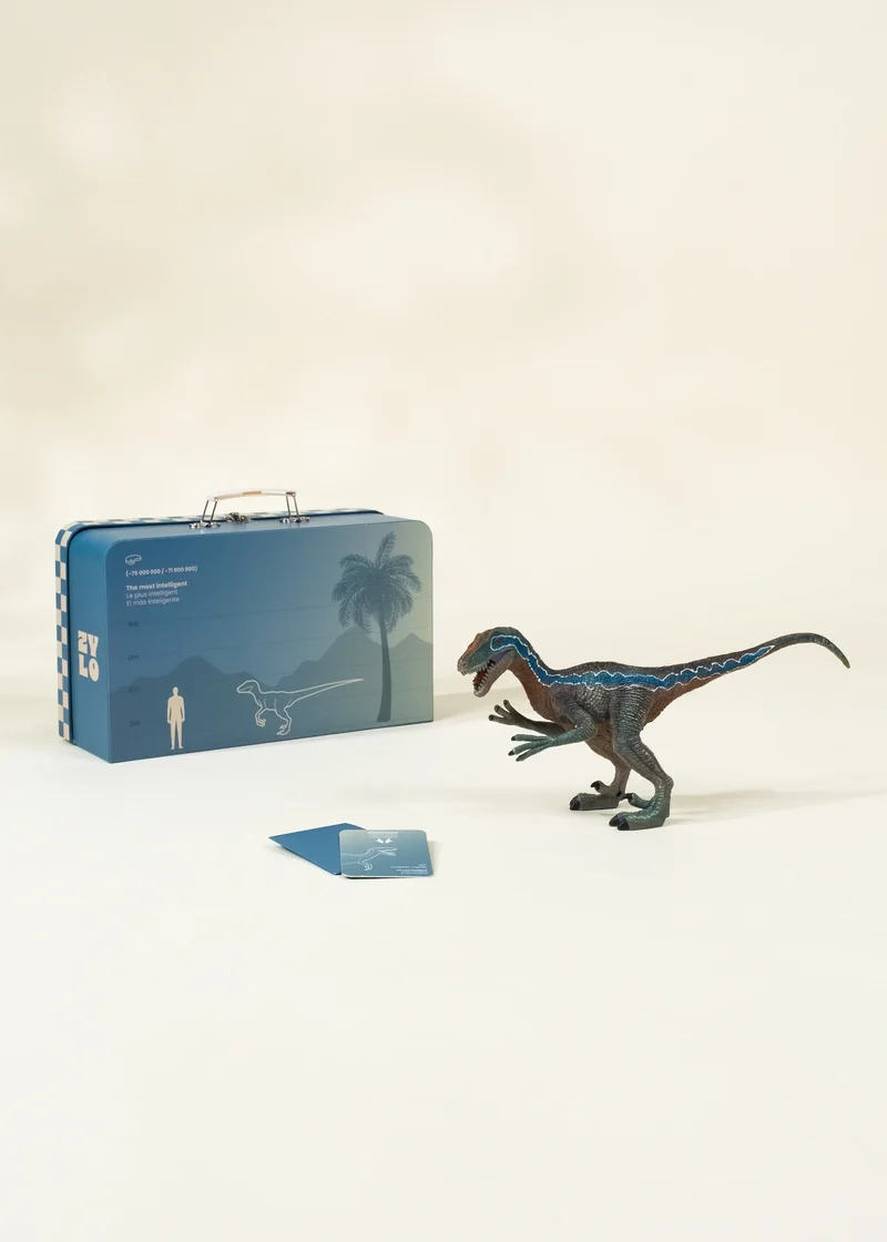 Velociraptor Dinosaur in a Collectible Box