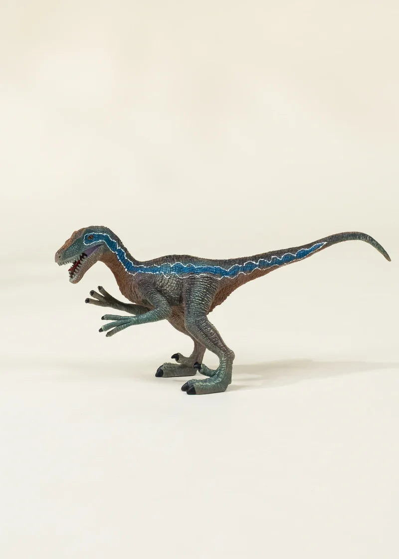 Velociraptor Dinosaur in a Collectible Box