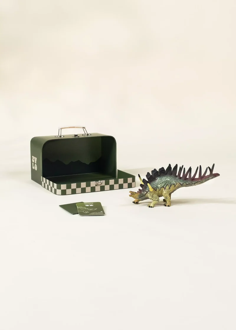 Kentrosaurus Dinosaur in a Collectible Box