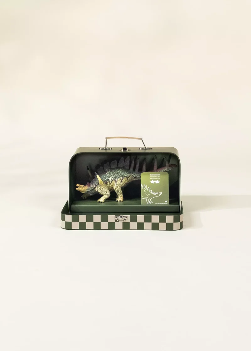Kentrosaurus Dinosaur in a Collectible Box
