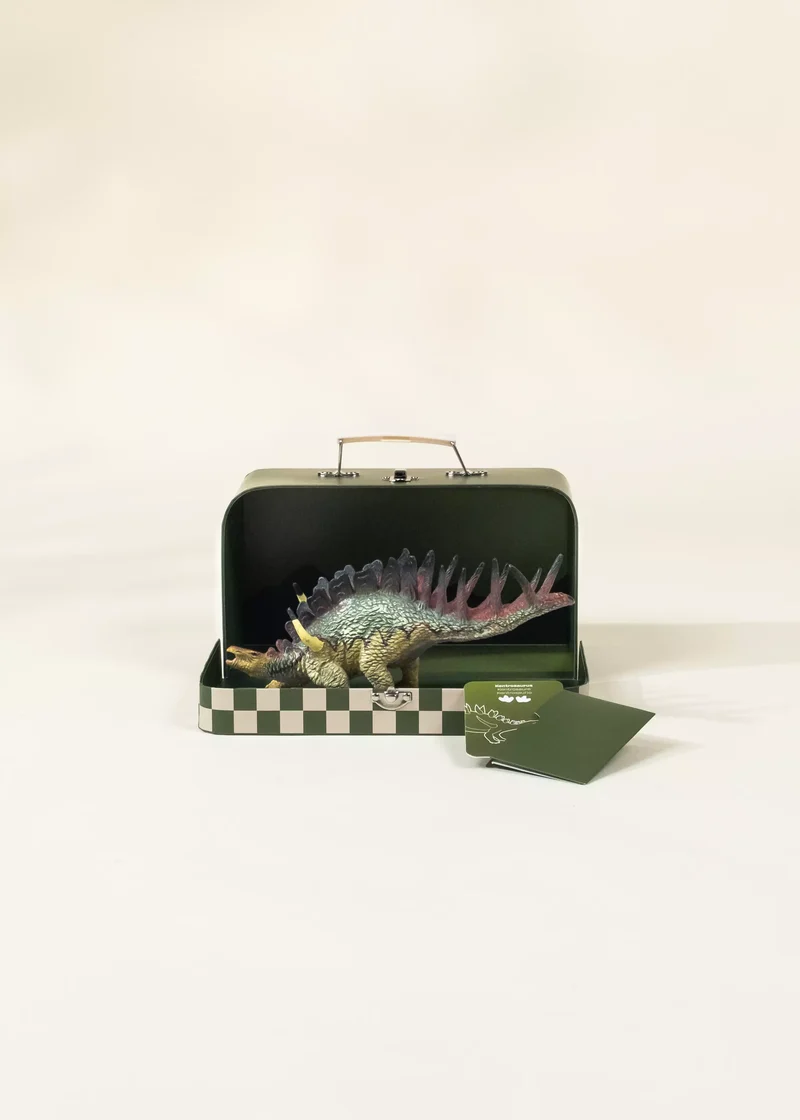 Kentrosaurus Dinosaur in a Collectible Box