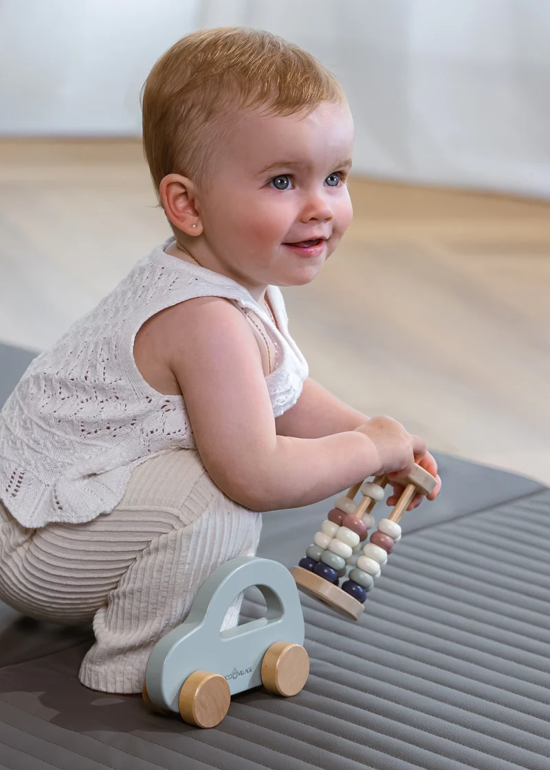 Wooden Baby Toy Gifting Set Abacus & Car