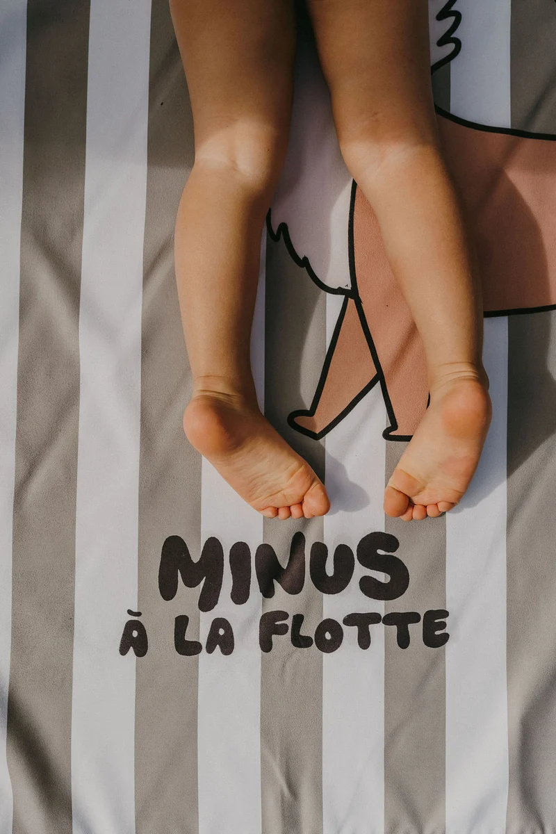 Serviette de plage | Renard