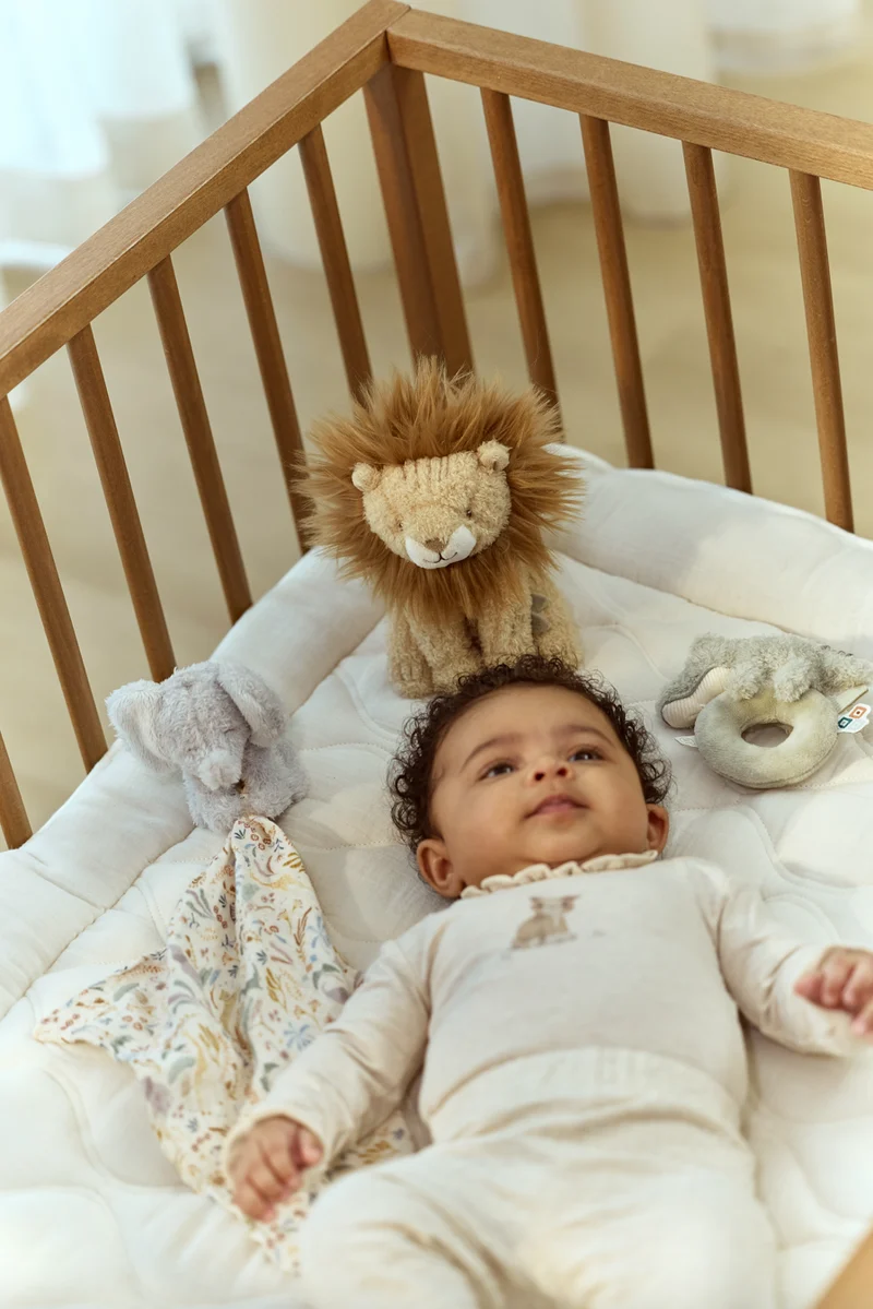 Coffret naissance | Safari Friends