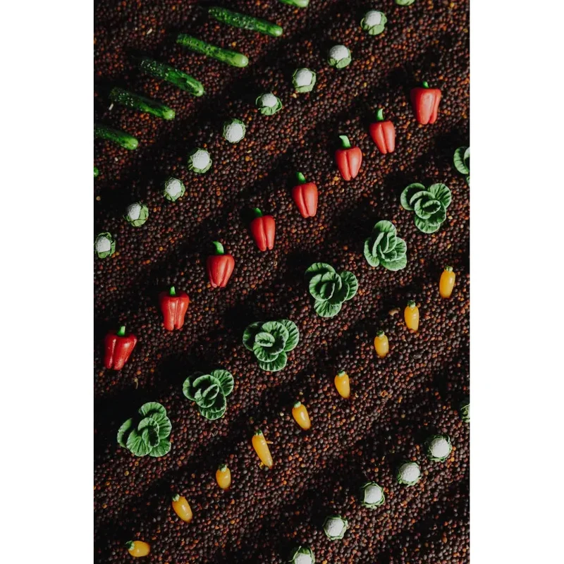 Bouteille sensorielle légumes - Petit boum