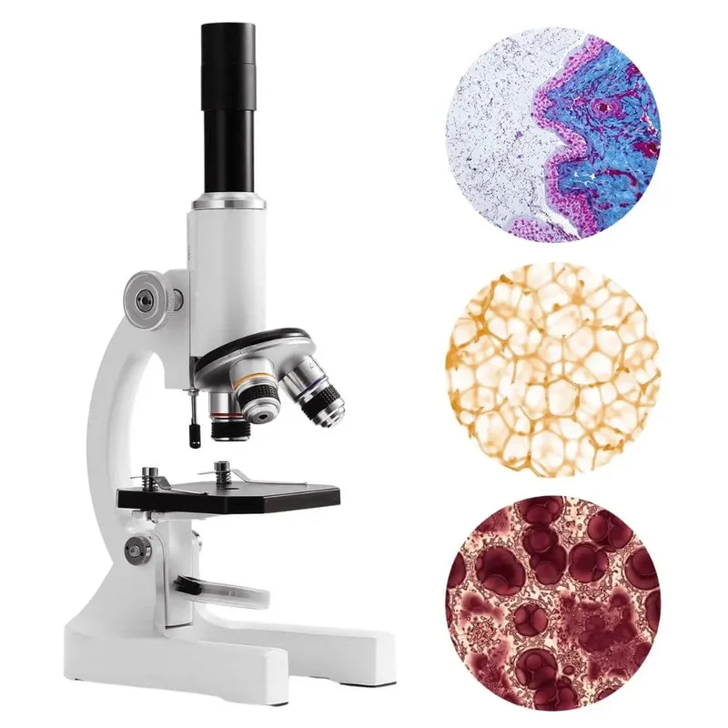 Microscope Enfant Avancé 2000x – Dès 6 Ans