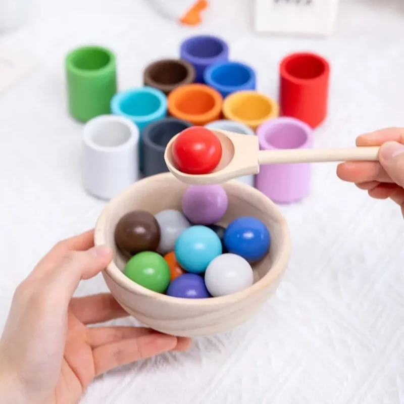 Boules et Tasses Montessori - ColorMatch™