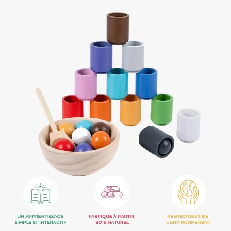 Boules et Tasses Montessori - ColorMatch™