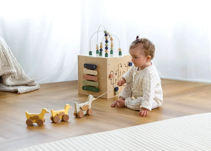 Duck Family Pull Toy