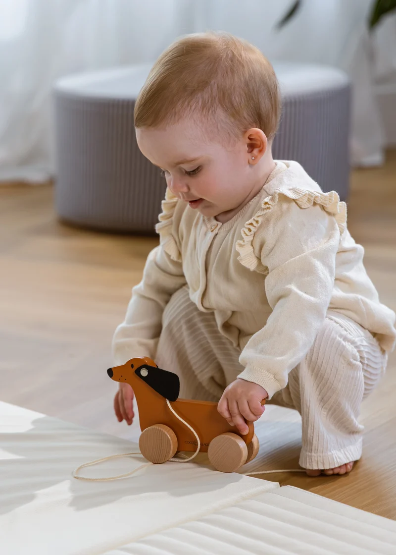 Dog Pull Toy