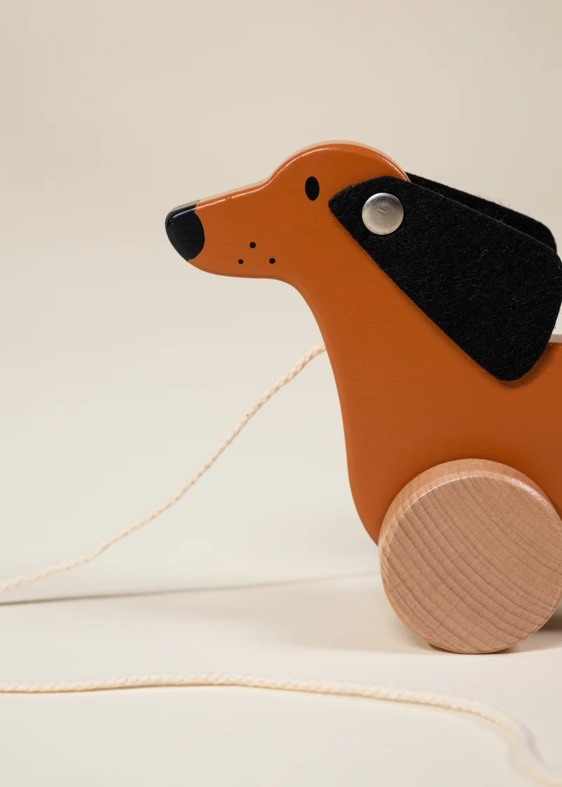 Dog Pull Toy