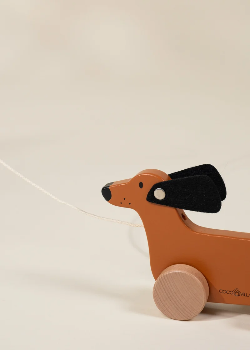 Dog Pull Toy