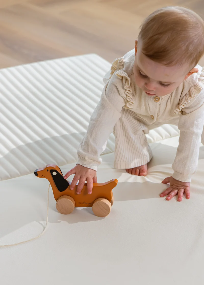 Dog Pull Toy
