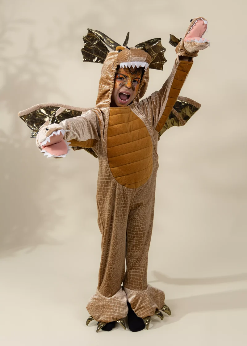 Dragon Costume
