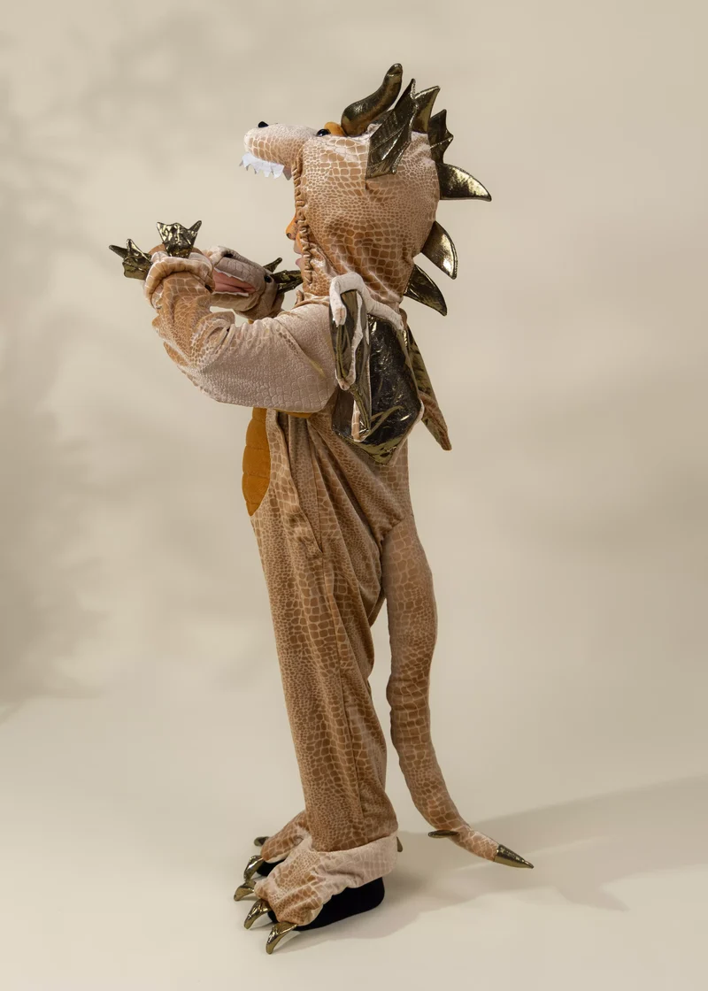 Dragon Costume
