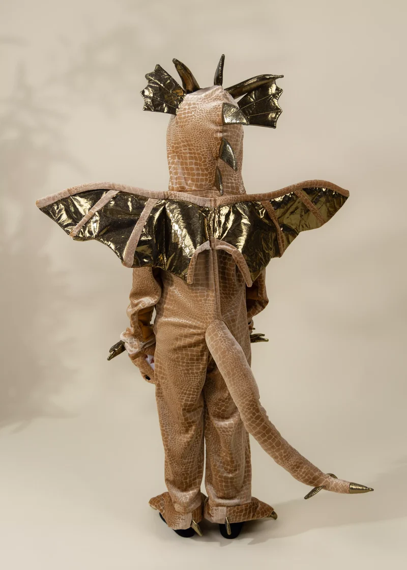Dragon Costume